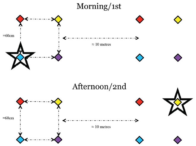 Figure 8. Schematic of the what-where-when experiment in which time of day was the ‘when’.