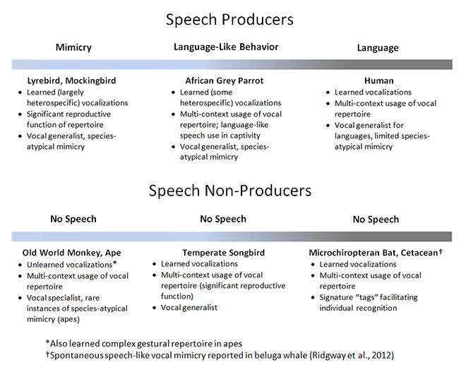 Figure 1. Spectrums illustrating differences in speech use and species-typical repertoires for a variety of animals. Exemplar species included in the figure were selected due to their frequent appearance in the literature, and do not necessarily generalize to all species within a given taxonomic order.