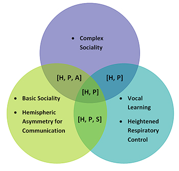 Figure 2. Diagram visualizing speech requisites shared by humans, apes, songbirds, and parrots, as well as those that are only shared by some of the animal groups. “Hemispheric asymmetry for communication” denotes asymmetrical size or volume of structures related to communication in either the left or right hemisphere. The term “basic sociality” refers to species that have frequent interaction with conspecifics, individual recognition of conspecifics, and extensive parental care; we define “complex sociality” as all features of basic sociality with the addition of the presence of discrete repertoire elements for affiliative nonsexual social interaction with conspecifics, social correlates of intelligence, and hierarchical relationships among group members. The figure reflects patterns for exemplar ape, songbird, and parrot species, but deviations and exceptions do exist. “H” = Feature possessed by humans; “P” = Feature possessed by parrots; “S” = Feature possessed by songbirds; “A” = Feature possessed by apes.