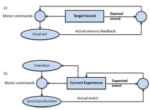 Figure 11. (a) In the standard portrayal of vocal imitation as a learning mechanism, memories of sounds enable an individual to produce somewhat similar sounds that can be compared with the remembered sounds. Differences between the produced and remembered sounds serve as an error signal that is used to adjust future sound production. (b) In a more cognitive characterization of vocal imitation, multimodal representations of ongoing acoustic events (Current Experience) and memories of past events are used to predict future events and to generate and modulate plans for vocal actions, including intentional sound reproduction. In this framework, differences between expected events and perceived events adjust how events are represented.