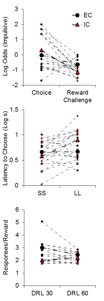 Figure 4. Top: Log odds of impulsive (smaller-sooner) choices during the impulsive choice and reward challenge phases. Middle: The latency (in log s) to initiate smaller-sooner (SS) and larger-later (LL) forced choice trials. Bottom: The mean responses per reward earned in the differential reinforcement of low rates (DRL) task with criteria of 30 and 60 s. Adapted from Kirkpatrick et al. (2013).
