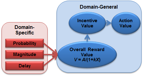 Figure 15. A schematic of the reward valuation system. Individual differences in impulsive and/or risky choice could emerge through domain-specific alterations of sensitivity to reward amount, delay, or odds against, or through domain-general processes involved in overall reward value, incentive value, or action value computations.