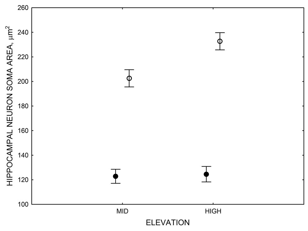 Figure 4F. Mountain chickadees: neuron soma size in captive vs. wild-caught birds.