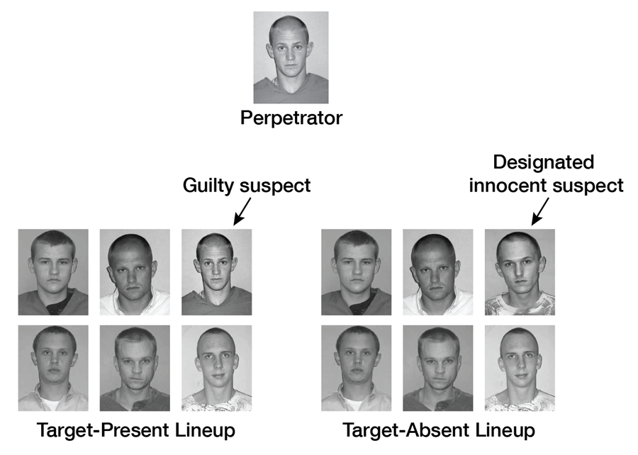Figure 5. In a typical mock-crime study, participants view a simulated crime committed by a perpetrator and are later tested with either a target-present lineup (containing a photo of the perpetrator and five similar fillers) or a target-absent lineup in which the photo of the perpetrator has been replaced by the photo of another filler. In this example, the individual depicted in the replacement photo serves the role of the innocent suspect. In this type of study, mistakenly identifying the innocent “suspect” has traditionally been the error of most interest.