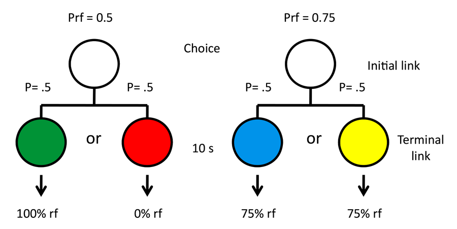 Figure 9. Design of Gipson et al. (2009) experiment.