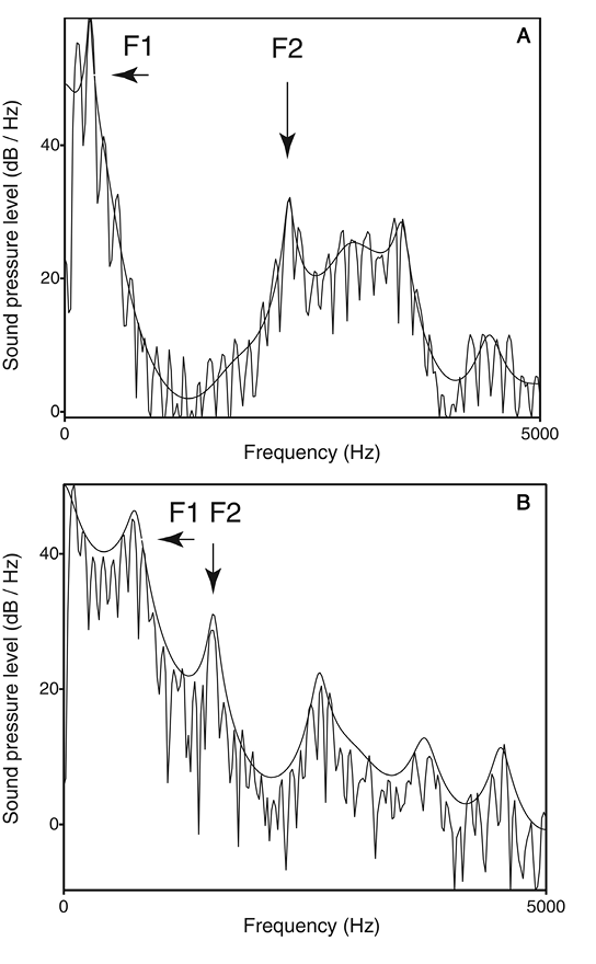 Figure 1. Frequency spectra for the vowels /i/ (in “beat”) and /æ/ (in “bat”) are shown in panels A and B, respectively. In these spectra the jagged lines show the harmonics of the voice and the smooth curves show the spectral shape or “spectral envelope.” The formants are the peaks in the spectral envelope. The first two formant peaks (F1, F2) are indicated by arrows. The vowel /i/ has a low F1 and high F2, and /æ/ has a high F1 and low F2. These resonances result from differing positions of the tongue in the vocal tract. From Music, Language, and the Brain (p. 57), by A. D. Patel, 2008, New York, NY: Oxford University Press. Copyright 2008 by Oxford University Press. Reprinted with permission.