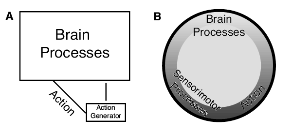 Figure 4. Depiction of a servomechanism then and now. In a servomechanism, action is generated that feeds back on the central nervous system that in turn adjusts the action. (A) The proportions of various components of the servomechanism as depicted in figures in Cheng (1995). Processes taking place in the brain dominate, with the area of the box containing brain processes 11 times the area of the box for action generation, which itself is still a brain process. Actions are depicted only on the link to the brain processes. (B) A current depiction showing brain processes, action, and feedback from sensorimotor processes in a continuous loop with approximately equal emphasis on each.
