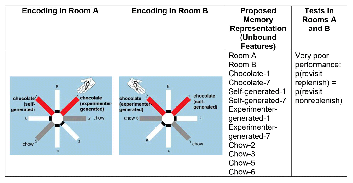 Figure 4. A proposed representation of unbound features. Poor performance is predicted because an unbound-feature representation does not segregate features according to the contexts in which the events occurred. Therefore, revisit rates in replenishment and nonreplenishment chocolate locations are predicted to be equal according to the unbound feature hypothesis. Reproduced with permission from Crystal, J. D., & Smith, A. E. (2014). Binding of episodic memories in the rat. Current Biology, 24, 2959.