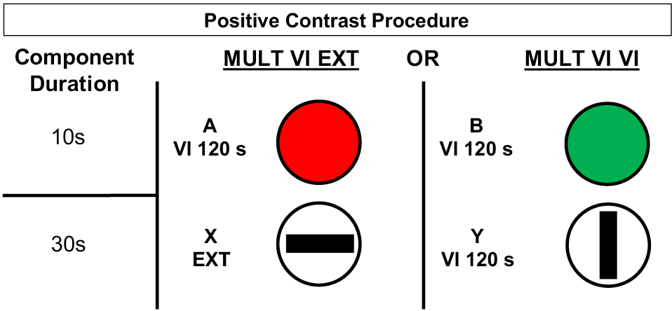 Figure 1. Schematic of positive behavioral contrast procedure used by Williams (1992). Each multiple schedule was assigned to either the left or right response key of a pigeon operant chamber and presented individually in a randomized fashion.