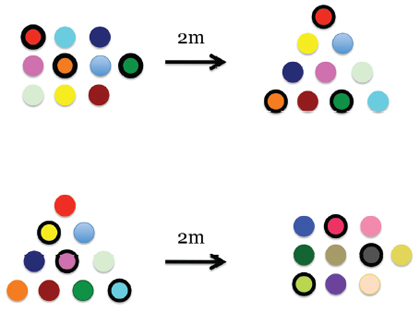 Figure 6. Schematic of the arrays used to determine that the birds did learn and remember colour (redrawn from Healy and Hurly 2002, above – treatment; below - control).
