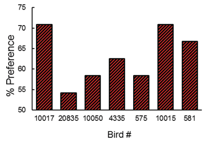 Figure 11. For each pigeon, probe trial preference for the S+ stimulus that followed the least preferred schedule in training (after Singer, Berry, & Zentall, 2007).