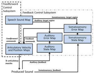 Figure 10. Guenther’s computational model of speech acquisition (adapted from Tourville and Guenther, 2011; Figure 1). In this model, multimodal maps acquired through experience make it possible for an individual to rapidly learn to reproduce novel sounds.