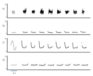 Figure 8. (a–d) Sound reproductions produced in experimental tests of a dolphin’s imitation abilities across trials show that sound production is reliable across multiple repetitions and that the dolphin is more likely to replicate some features than others (adapted from Richards et al., 1984; Figure 4). Gray lines show spectrographic contours of four different broadcast sounds, and black lines show the contours of the dolphin’s sounds on multiple trials for each of the sounds.