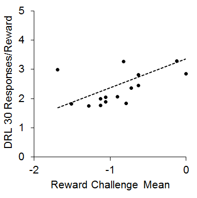 Figure 5. Mean log odds impulsive choices in the reward challenge phase versus mean responses per reward earned in the differential reinforcement of low rate (DRL) 30 s task. The dots are individual rats and the dashed line is the best-fitting linear regression through the data. Adapted from Kirkpatrick et al. (2013).