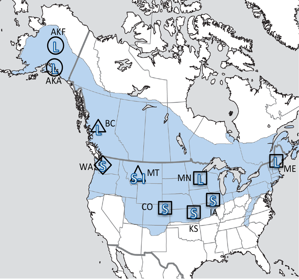 Figure 1. Sampling locations across winter climate severity gradients in black-capped chickadees. AKF — Alaska, Fairbanks; AKA — Alaska, Anchorage; BC — British Columbia; WA — Washington State; MT — Montana; MN — Minnesota; ME — Maine; CO — Colorado; KS — Kansas; IA — Iowa. L — large hippocampus, S — small hippocampus, S-I — small-intermediate hippocampus. Based on Pravosudov et al. (2012).