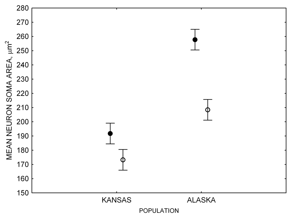Figure 4E. Black-capped chickadees: neuron soma size in hand-reared vs. wild-caught birds.