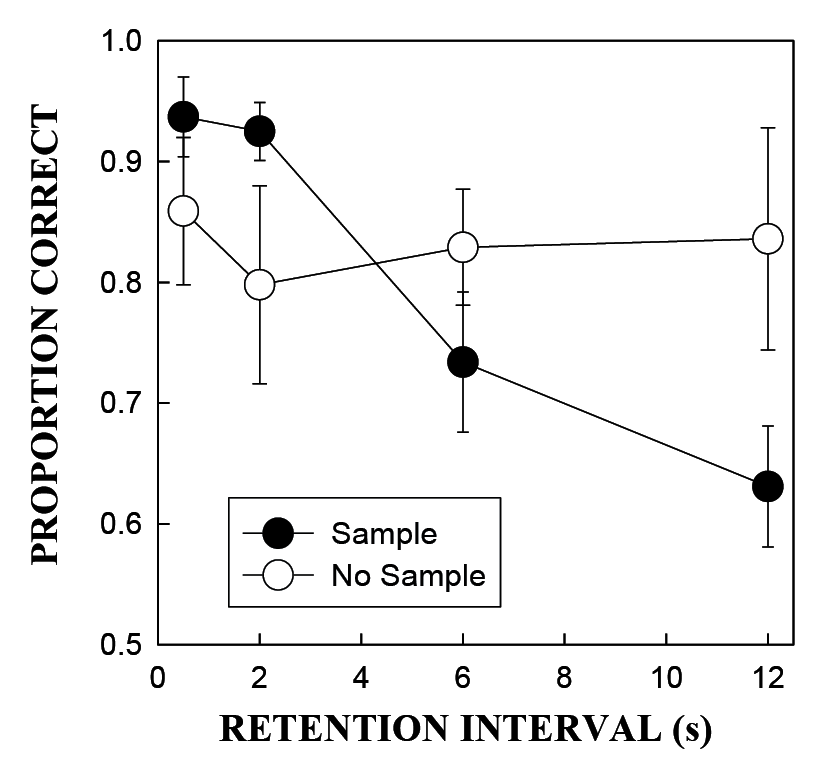 Figure 1. Average hit rate (proportion of correct responses on sample trials) and correct rejection rate (proportion of correct responses on no-sample trials) as a function of retention interval for pigeons in Experiment 1 of Wixted (1993). (The error bars represent the standard errors associated with each mean value.)