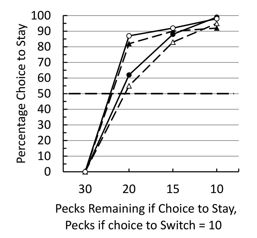 Figure 1. After training pigeons to peck green 30 times or red 10 times for food, they were trained to peck green a variable number of times and could choose between completing the remaining pecks to green or pecking red 10 times. The data are presented for each of the four pigeons.