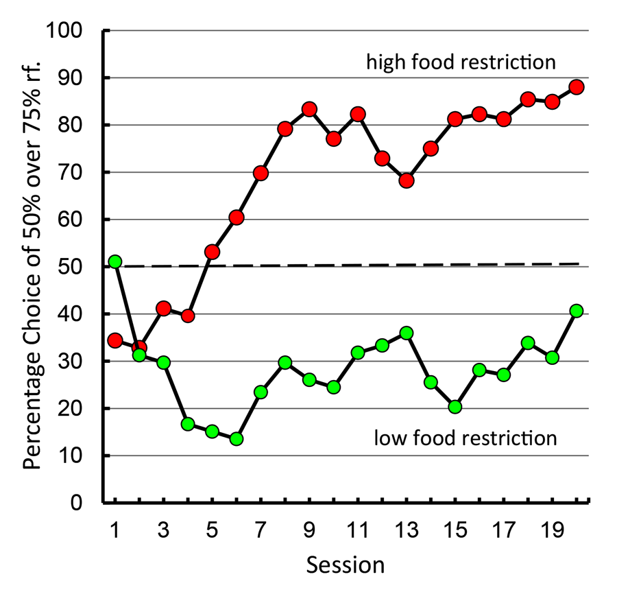 Figure 13. Preference for 50% over 75% reinforcement alternative under high versus low levels of food restriction (after Laude, Pattison, & Zentall, 2012).