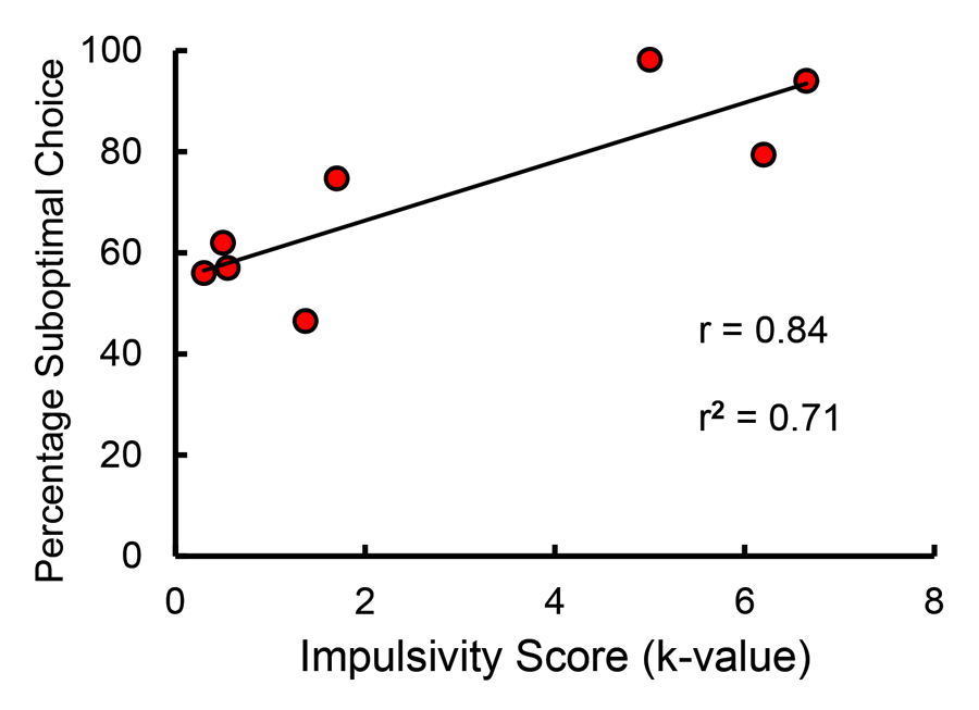 Figure 14. Correlation between impulsivity (as measured by delay discounting) and suboptimal choice (after Laude, Beckmann, Daniels, & Zentall, 2014).