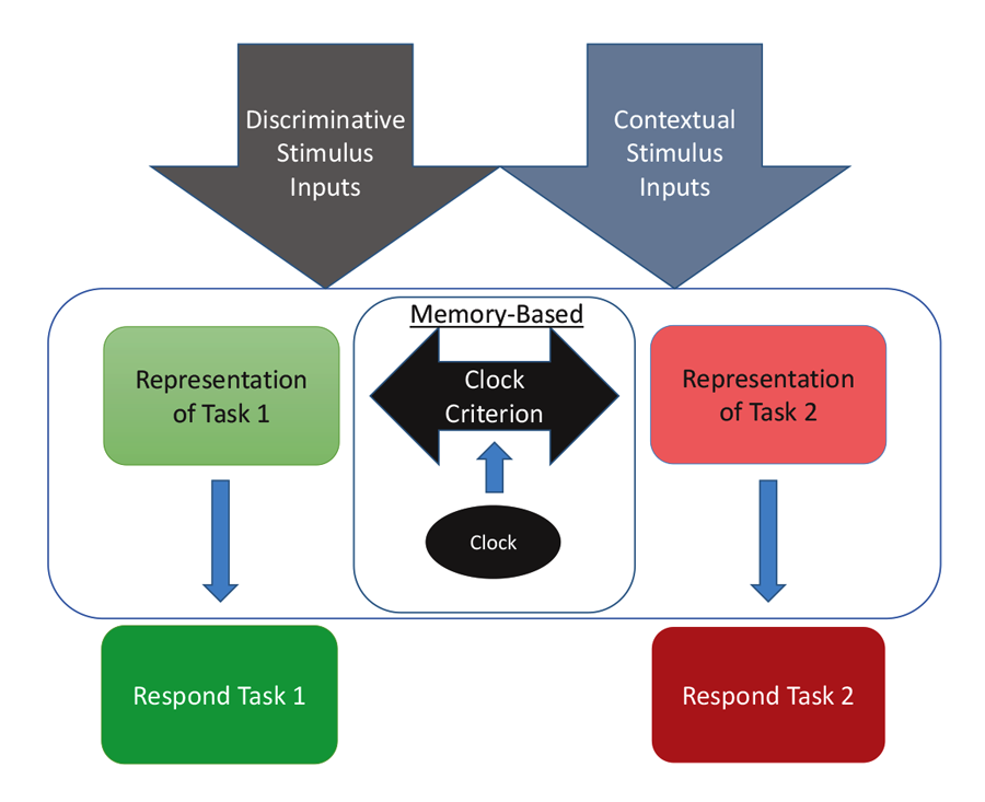 Figure 4. A model for how the two competing behaviors to Task 1 and Task 2 are represented based on input received from discriminative and contextual stimuli and the temporal clock that modulates behavioral choices over the session.