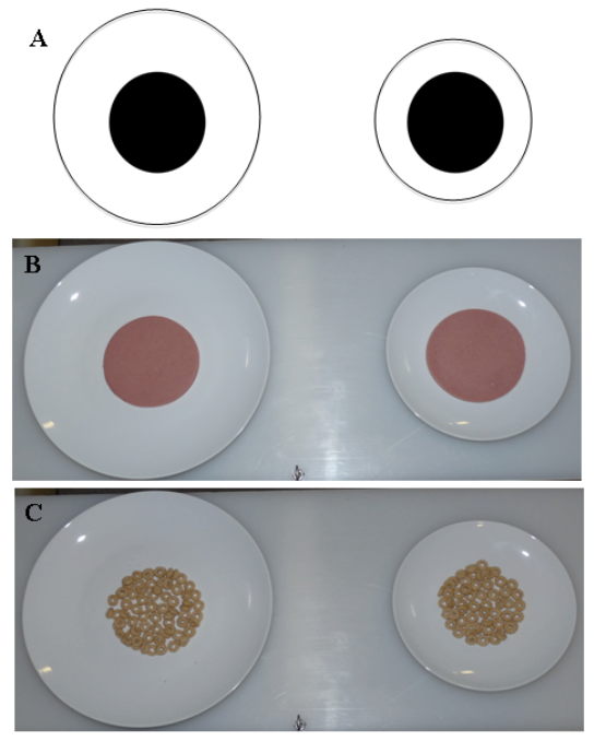 Figure 2. (A) The Delboeuf illusion. When two same-sized central circles (shown here as black dots) are surrounded by concentric circles of difference sizes, people tend to perceive the dot inside the smaller concentric circle to be larger than the dot inside the larger concentric circle. (B) and (C) Food stimuli presented to chimpanzees in Parrish and Beran (2014a). These arrangements were used to mimic the Delboeuf illusion in a food discrimination task. In (B), the food portions are equal, but chimpanzees tended to prefer the portions on the smaller plate. In (C), the smaller plate actually holds less food than the larger plate. The chimpanzees tended to be indifferent between these options despite an objective difference in the amounts on these plates. Reprinted from “When Less Is More: Like Humans, Chimpanzees (Pan troglodytes) Misperceive Food Amounts Based on Plate Size,” by A. E. Parrish and M. J. Beran, 2014, Animal Cognition, 17, p. 428. Copyright 2014 by Springer.