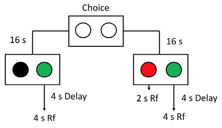 Figure 4. Commitment procedure used by Rachlin and Green (1972). Pigeons could choose between a later choice between smaller-sooner (2-s immediate reinforcement [Rf]) and larger-later (4-s delayed Rf) or only larger later (4-s delayed Rf).

