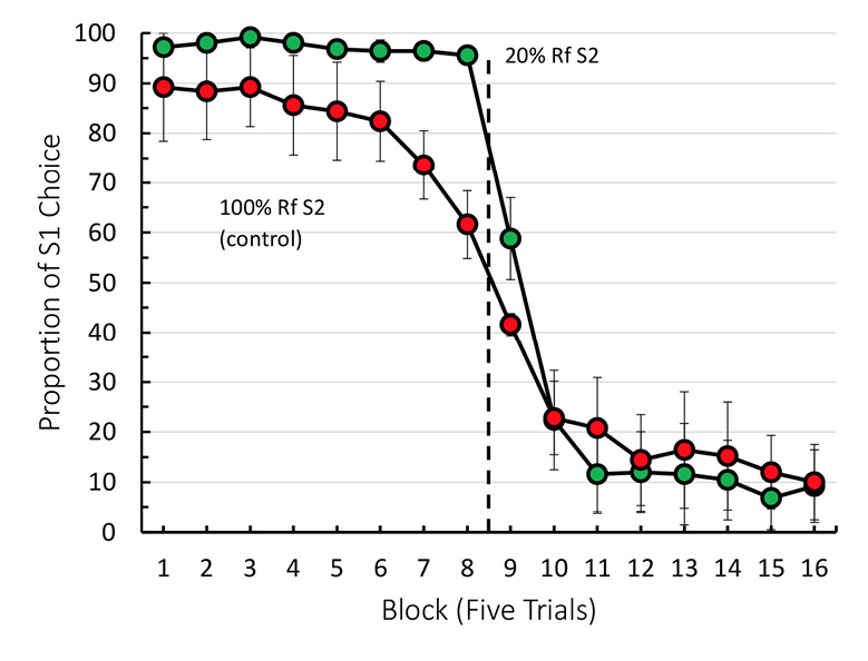 Figure 7. Mean percentage choice of the first correct stimulus (S1) as a function of trial number for Sessions 41 to 50. S1 was correct for the first 40 trials of each session. Incorrect stimulus (S2) was correct for the last 40 trials of each session. For the experimental group, correct S2 responses were reinforced 20% of the time. Rf = reinforcement. Error bars = ±1 SEM (unpublished research; Zentall et al., 2019).